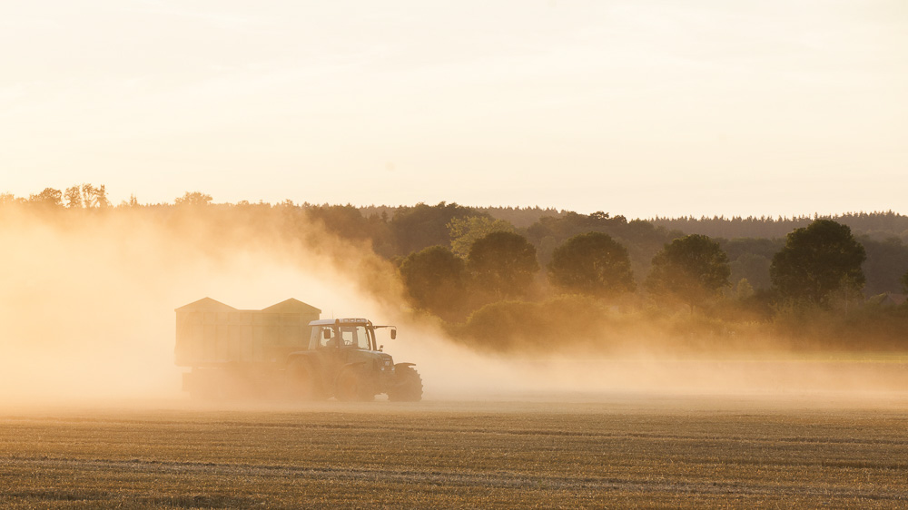 12. Platz Hans Kerler